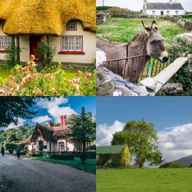 4 Fotos 1 Palavra Enigma diário Dezembro 17 2025