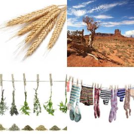 4 Fotos 1 Palavra Enigma diário Dezembro 18 2025