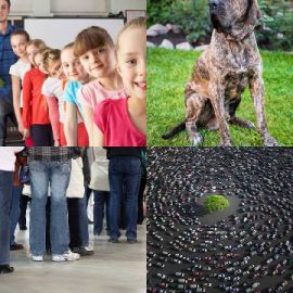 4 Fotos 1 Palavra Enigma diário Dezembro 21 2025