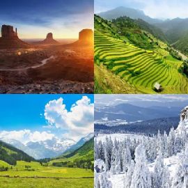 4 Fotos 1 Palavra Enigma diário Novembro 5 2025