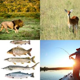 4 Fotos 1 Palavra Enigma diário Novembro 7 2025