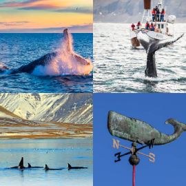 4 Fotos 1 Palavra Enigma diário Novembro 30 2025