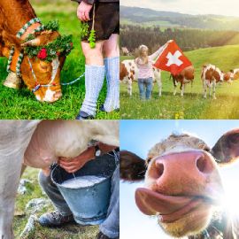 4 Fotos 1 Palavra Enigma diário Março 22 2026