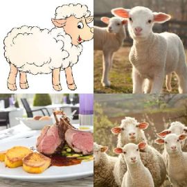 4 Fotos 1 Palavra Enigma diário Janeiro 21 2026