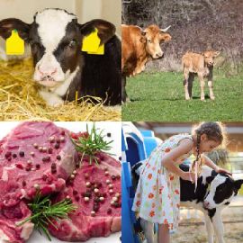 4 Fotos 1 Palavra Enigma diário Março 12 2026