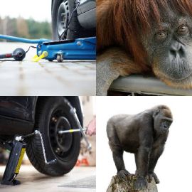 4 Fotos 1 Palavra Enigma diário Abril 1 2026