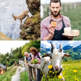 4 Fotos 1 Palavra Enigma diário Abril 3 2026