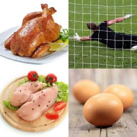 4 Fotos 1 Palavra Enigma diário Abril 12 2026