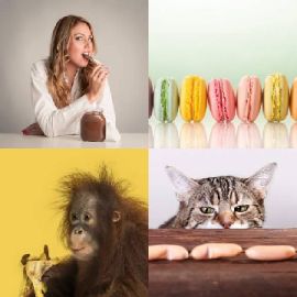 4 Fotos 1 Palavra Enigma diário Abril 23 2026