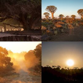 4 Fotos 1 Palavra Enigma diário Janeiro 4 2026