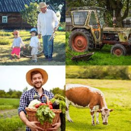 4 Fotos 1 Palavra Enigma diário Fevereiro 15 2026