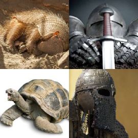 4 Fotos 1 Palavra Enigma diário Julho 14 2018